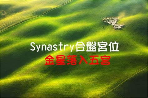 金星12宮前世|Synastry合盤宮位 之 金星落入十二宮 – 量子占星官方。